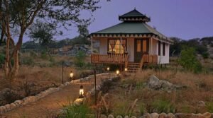 jawai-leopard-lodge1